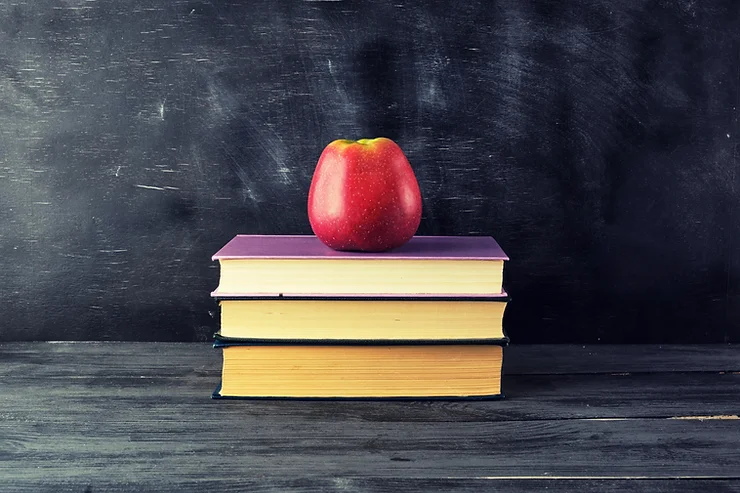 TCM Ernährungtherapie in der Forschung: Studienlage und Hintergründe