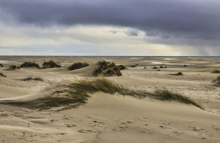 Sandsturm