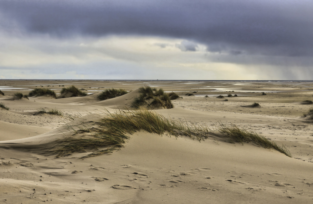 Sandsturm